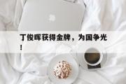亚博体育官网-丁俊晖获得金牌，为国争光！